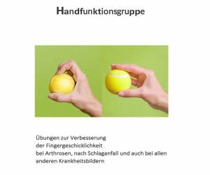hand funktionsgruppe